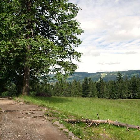 Domek Sekret Закопане Экстерьер фото