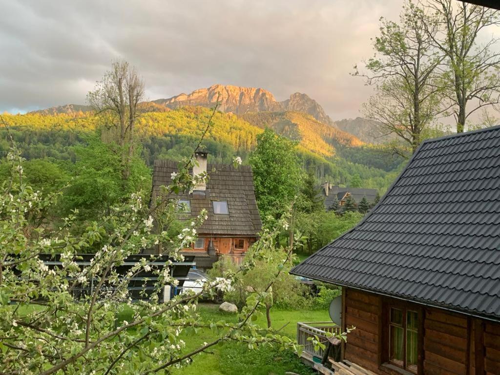 Domek Sekret Закопане Экстерьер фото